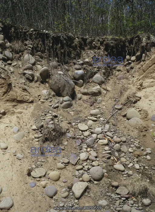 : Glacial Drift : Glacial Drift