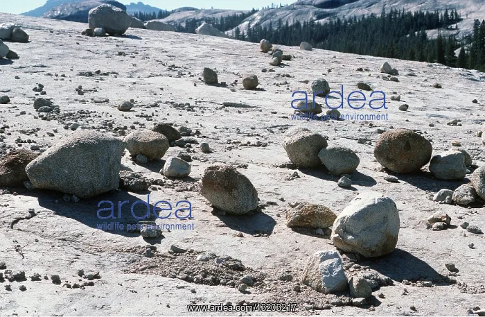 : Glacial Erratic Boulders : Glacial Erratic Boulders