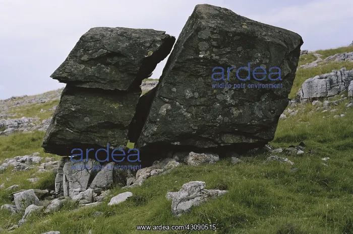 : Glacial Erratic, Yorkshire : Glacial Erratic, Yorkshire