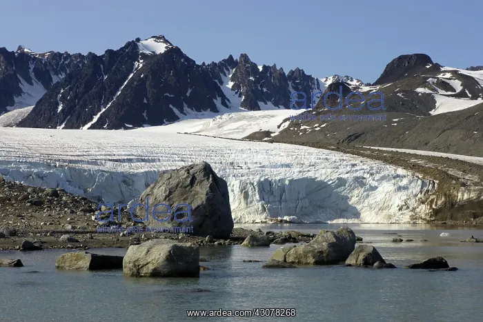 : Glacial Erratics : Glacial Erratics