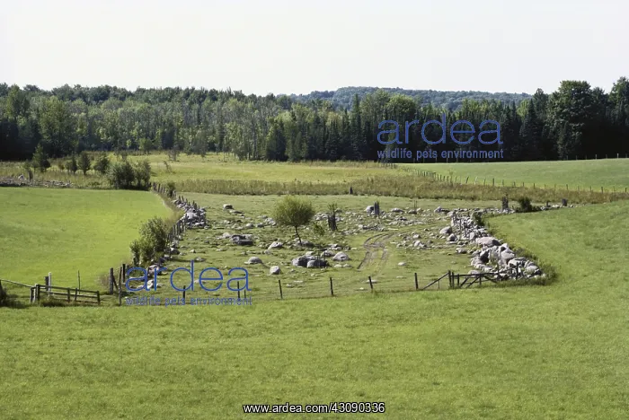 : Glacial Erratics : Glacial Erratics