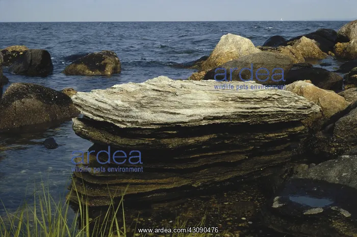 : Glacial Erratics, Connecticut : Glacial Erratics, Connecticut