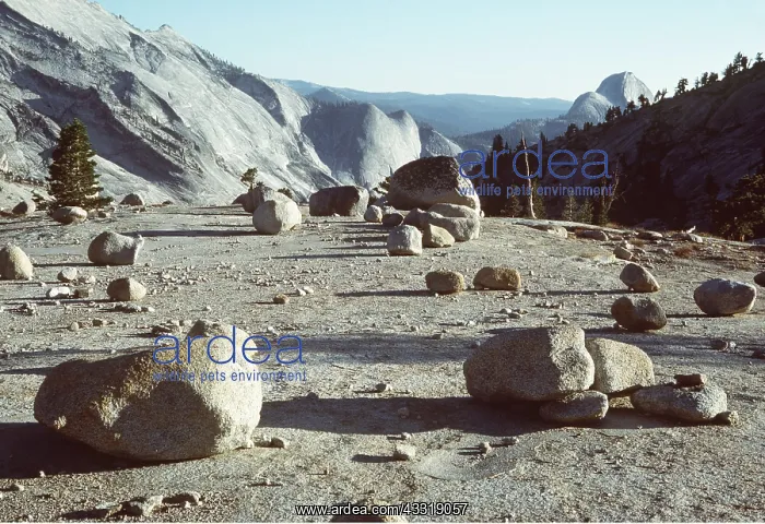 : GLACIAL Erratics & exfoliation : GLACIAL Erratics & exfoliation