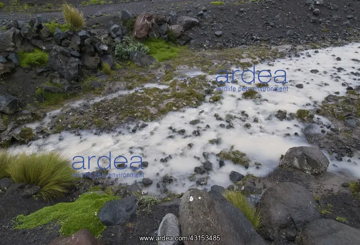 : Glacial flour and till : Glacial flour and till