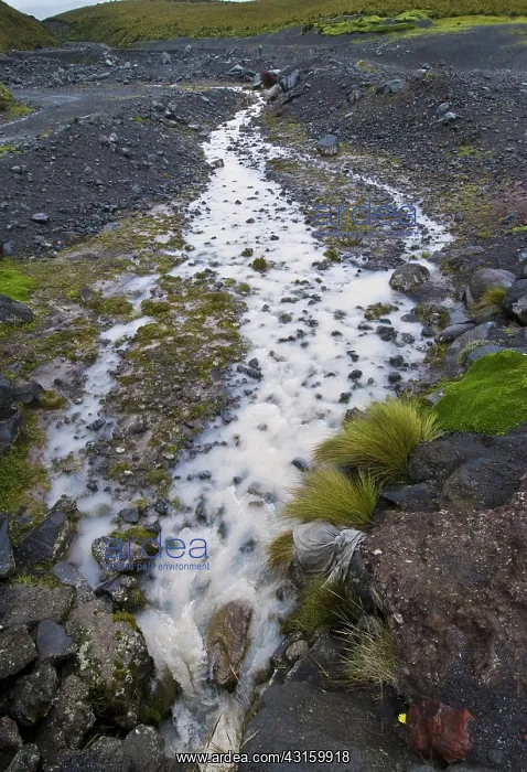: Glacial flour and till : Glacial flour and till