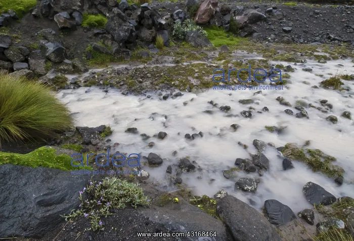 : Glacial flour and till : Glacial flour and till