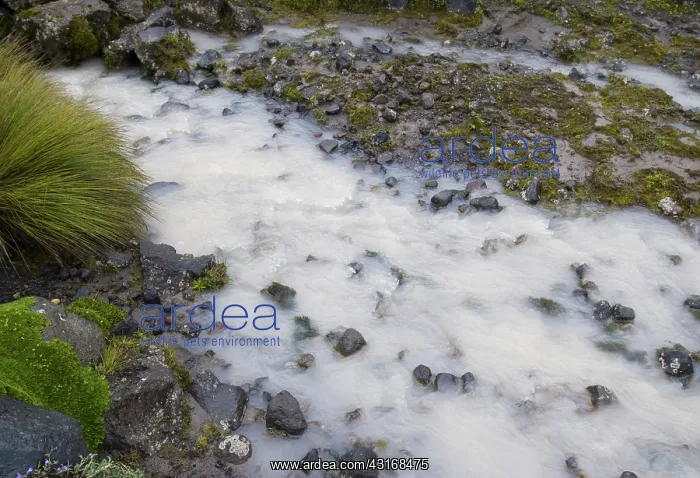 : Glacial flour and till : Glacial flour and till