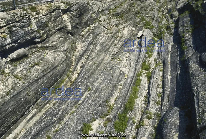 : Glacial Grooves in Limestone : Glacial Grooves in Limestone