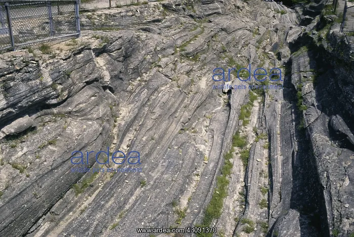 : Glacial Grooves in Limestone : Glacial Grooves in Limestone