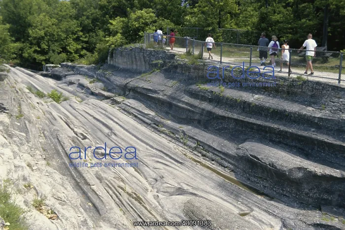 : Glacial Grooves in Limestone : Glacial Grooves in Limestone