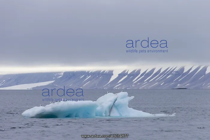 : Glacial ice formations along the Hinlopenstreet : Glacial ice formations along the Hinlopenstreet
