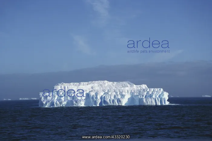 : Glacial Iceberg, Antarctica : Glacial Iceberg, Antarctica