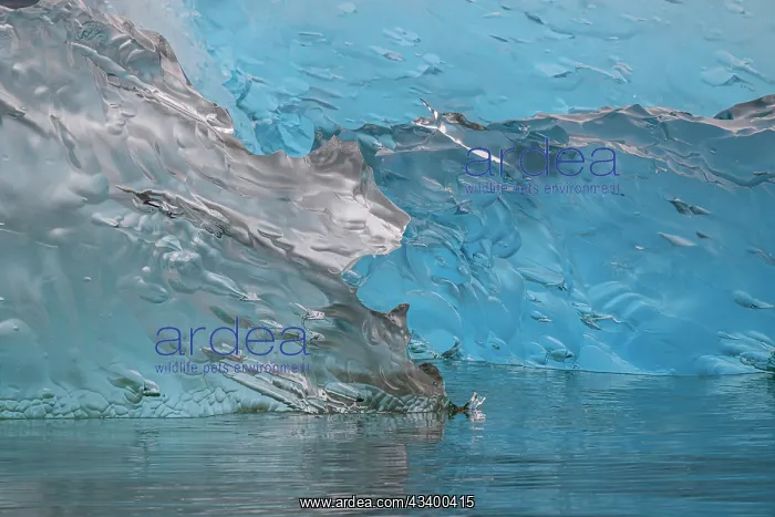 : Glacial icebergs : Glacial icebergs
