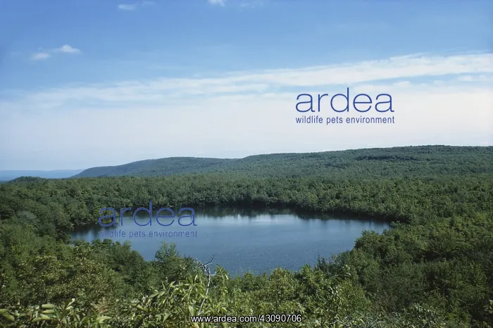 : Glacial Kettle in Pennsylvania : Glacial Kettle in Pennsylvania