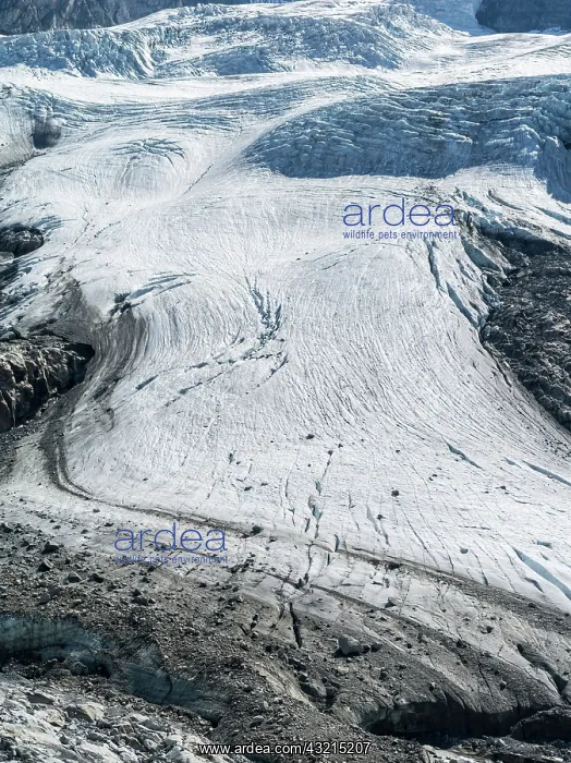 : Glacial lobe (tongue) of Obersulzbachkees : Glacial lobe (tongue) of Obersulzbachkees