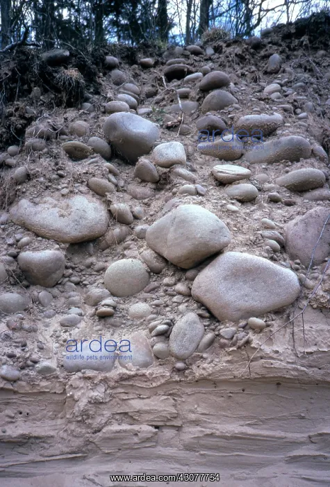 : Glacial Outwash : Glacial Outwash