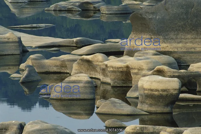 : Glacial Potholes in Susquehanna Riverbed, PA : Glacial Potholes in Susquehanna Riverbed, PA