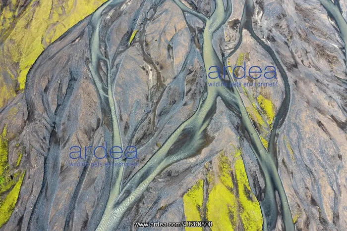 : Glacial river from above, aerial view, river arms : Glacial river from above, aerial view, river arms