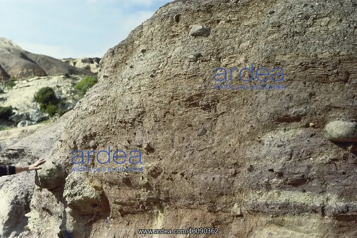 : Glacial Sediments : Glacial Sediments