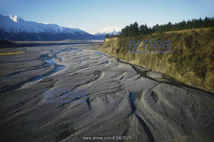 : Glacial Shingle, New Zealand : Glacial Shingle, New Zealand