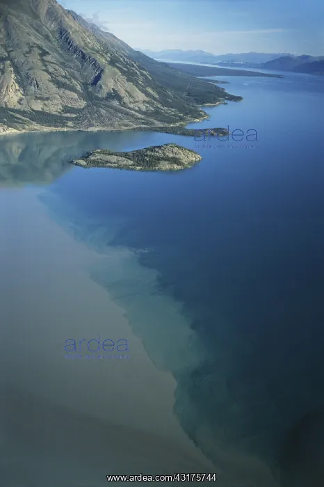 : Glacial Silt in Lake : Glacial Silt in Lake