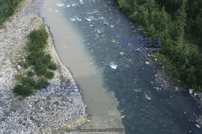 : Glacial Stream Meets River : Glacial Stream Meets River