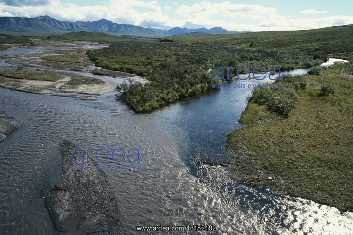 : Glacial Stream Meets River : Glacial Stream Meets River