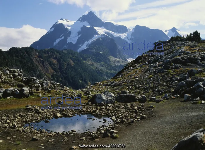 : Glacial Tarn, Washington : Glacial Tarn, Washington