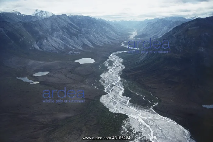 : Glacial Valley in Alaska : Glacial Valley in Alaska