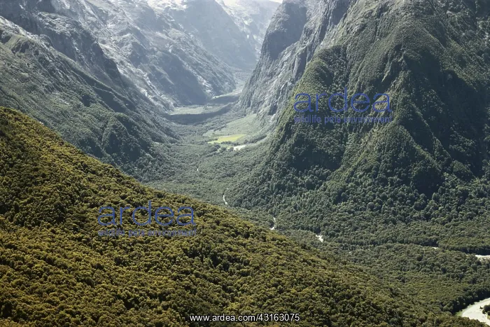 : Glacial Valley in New Zealand : Glacial Valley in New Zealand