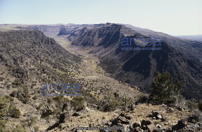 : Glacial Valley in Oregon : Glacial Valley in Oregon