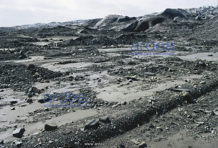 : Glacially Fluted Ground : Glacially Fluted Ground