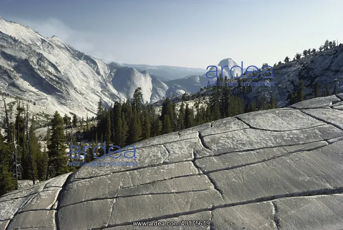 : Glacially Polished Rock : Glacially Polished Rock