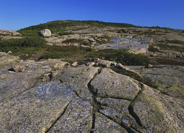 : Glaciated Landscape : Glaciated Landscape