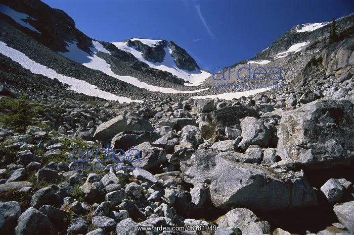 : Glaciated Valley in Canada : Glaciated Valley in Canada