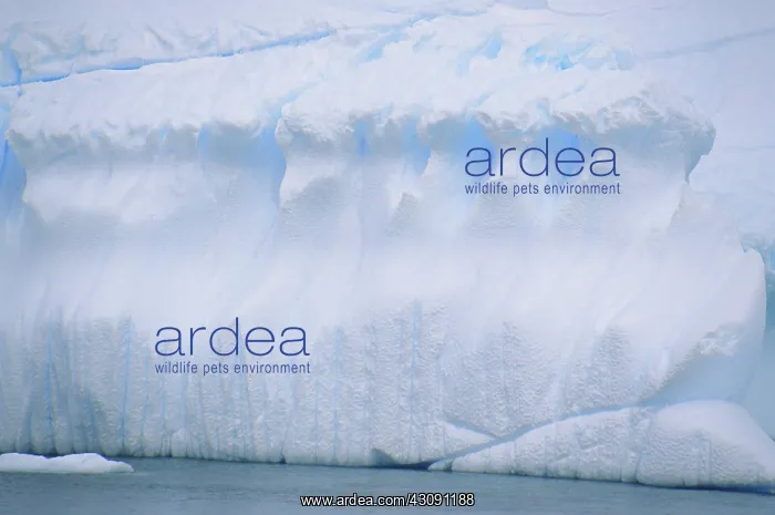  : Glacier Detail