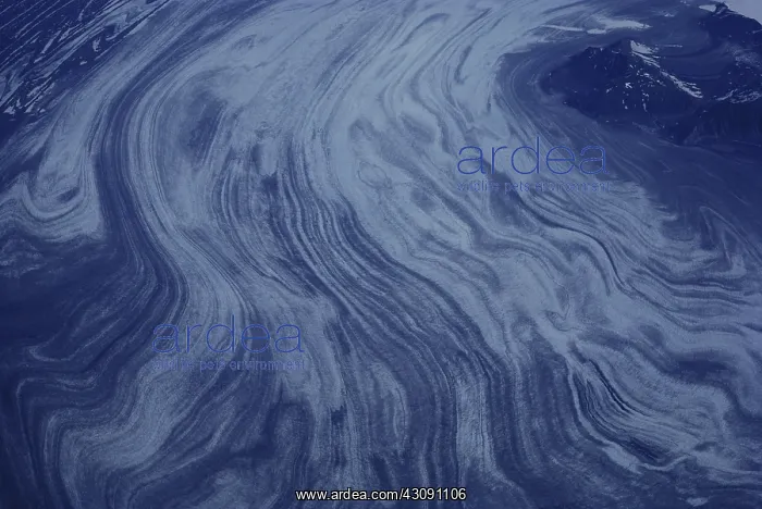 : Glacier in Alaska : Glacier in Alaska