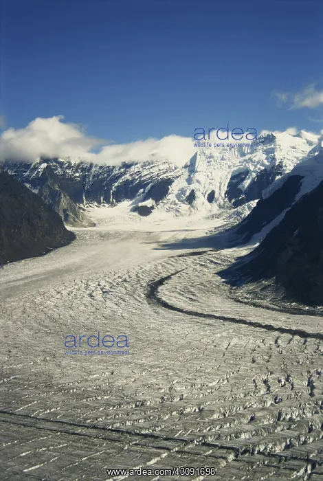 : Glacier in Alaska : Glacier in Alaska