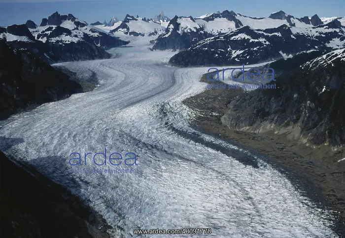 : Glacier in Alaska : Glacier in Alaska