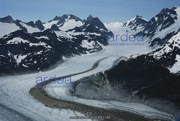 : Glacier in Alaska : Glacier in Alaska