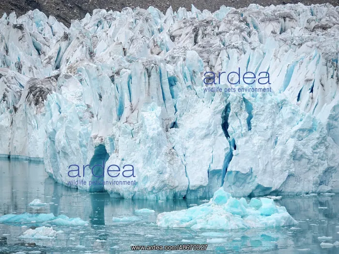 : Glacier (also called Apuseeq Glacier) Sermiligaaq Fjord : Glacier (also called Apuseeq Glacier) Sermiligaaq Fjord