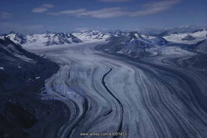: Glacier Bay National Park : Glacier Bay National Park