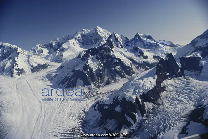 : Glacier Bay National Park : Glacier Bay National Park