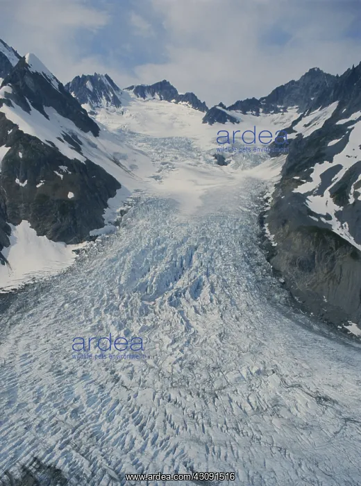 : Glacier Bay National Park : Glacier Bay National Park