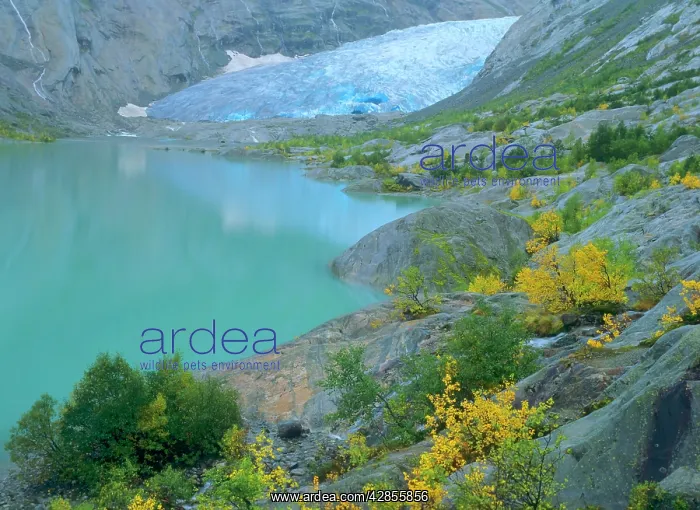  : Glacier - blue ice and glacial lake of Nigardsbreen