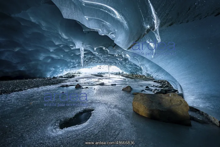: Glacier cave, ice cave, Morteratsch Glacier, Engadin : Glacier cave, ice cave, Morteratsch Glacier, Engadin