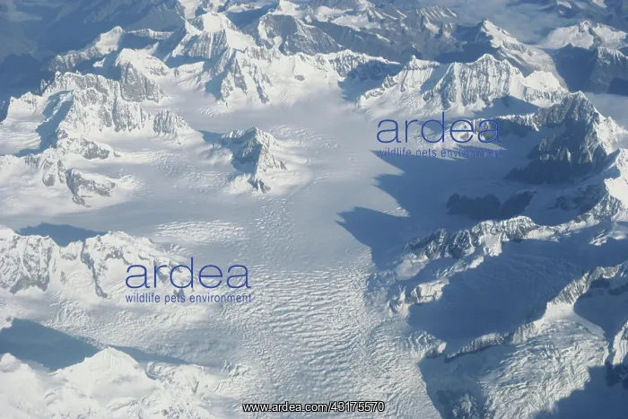  : Glacier Crevasses