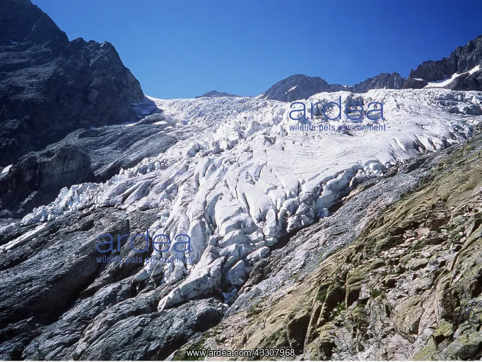 : GLACIER - Ecrins National Park : GLACIER - Ecrins National Park