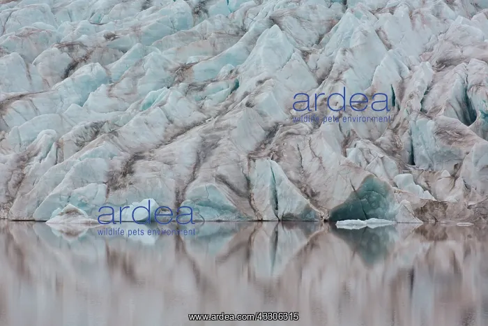 : Glacier Erikbreen - Liefdefjorden - Svalbard, Norway : Glacier Erikbreen - Liefdefjorden - Svalbard, Norway