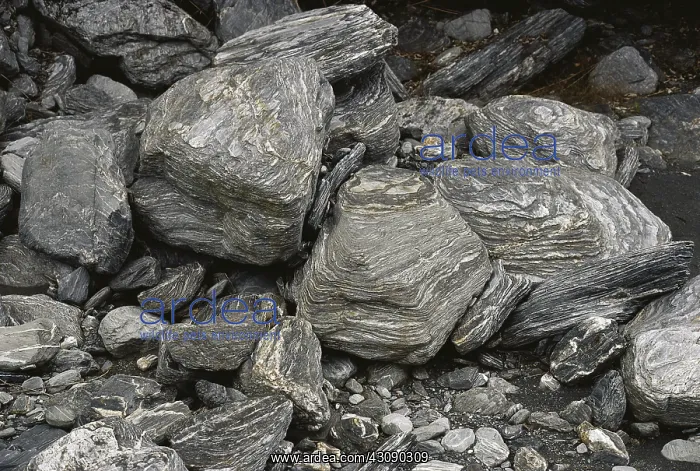 : Glacier-etched Boulders : Glacier-etched Boulders